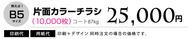 B5片面カラーチラシ（1000枚)14,800円