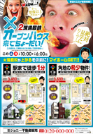 不動産チラシ